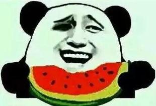 吃瓜群众好幸福,揭秘网络时代的围观乐趣