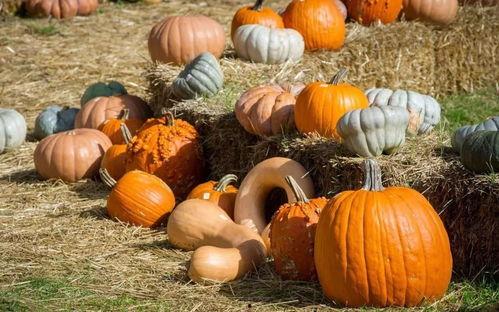 文轩吃瓜群众是哪一集,揭秘热门剧集背后的故事