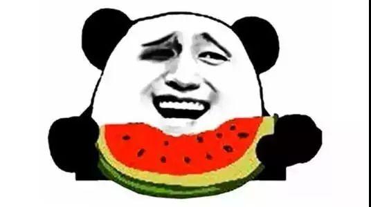 吃瓜群众惊喜二哈图片大全,吃瓜群众惊喜连连