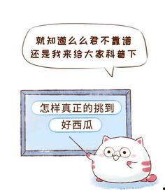 吃瓜群众拒绝被骂怎么办,吃瓜群众拒绝被骂的智慧指南