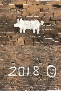 吃瓜群众沙雕网友,揭秘网络笑料背后的欢乐与争议