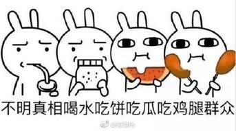 吃瓜群众沙雕网友,揭秘网络笑料背后的欢乐与争议