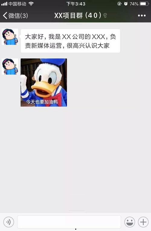 群里吃瓜群众怎么说的好听,吃瓜群众妙语连珠,趣味横生