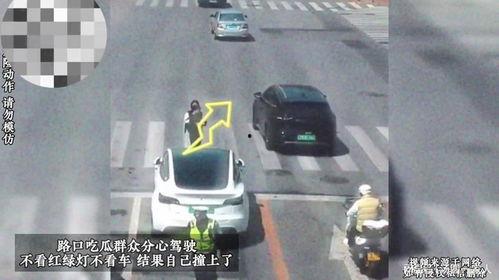 吃瓜群众红绿灯,交通规则的“绿色守护者”