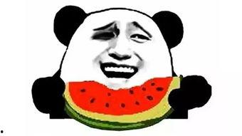 小姐姐吃瓜群众,揭秘娱乐圈幕后故事