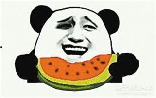 遵义吃瓜群众图片视频,一窥当地生活百态