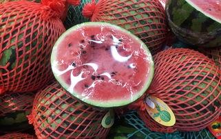 蛋糕月亮吃瓜群众,揭秘蛋糕月亮背后的吃瓜群众故事