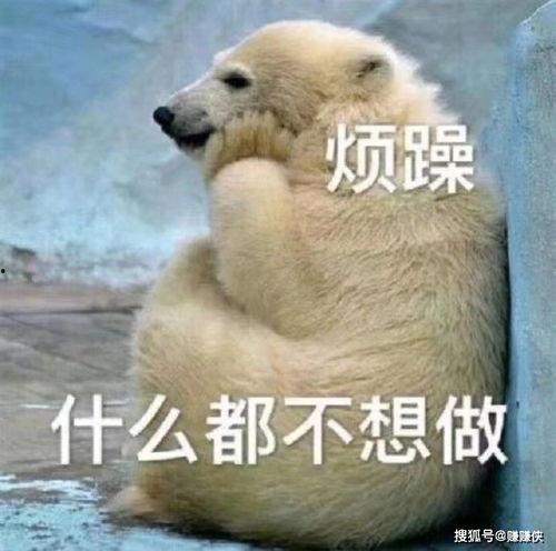 猜我是谁吃瓜群众图片大全,趣味横生的网络文化现象