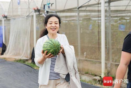 最美吃瓜群众吴琼,最美吃瓜群众，揭秘娱乐圈幕后风云